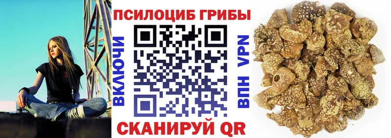 Псилоцибиновые грибы мицелий  Красный Сулин 